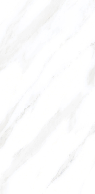 Aedea 24" x 48" Porcelain Tile Classic Series
