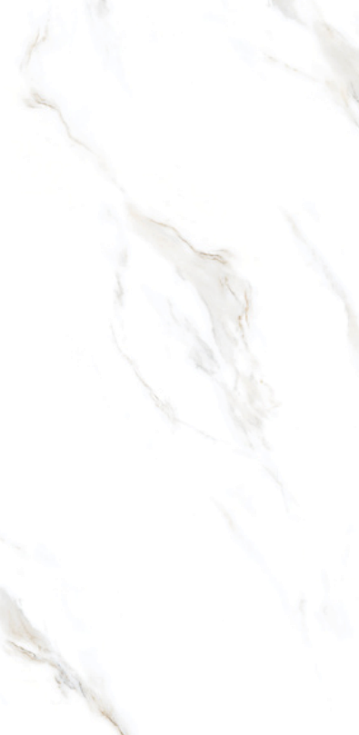 Satuario Acute 24" x 48" Porcelain Tile Classic Series