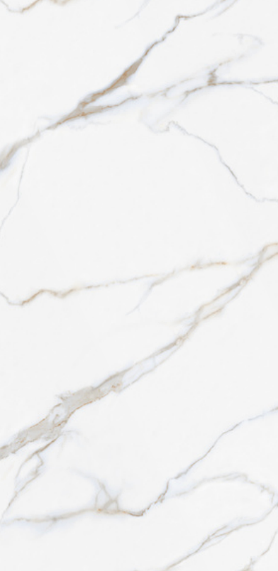 Satuario Austra 24" x 48" Porcelain Tile Classic Series