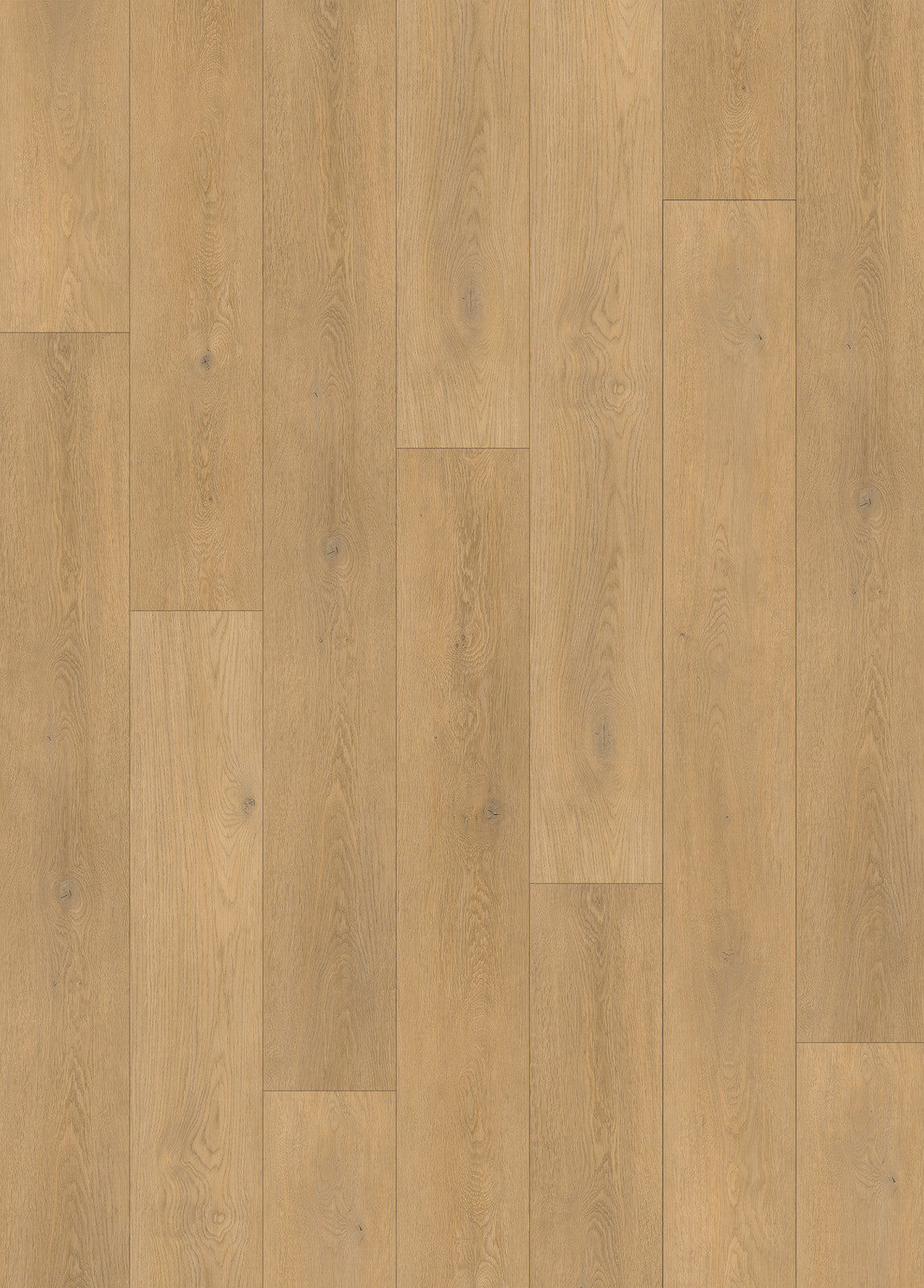 Woden 1008 Vintage Trail — 10 Collection Vinyl Flooring — flooring colour and grain