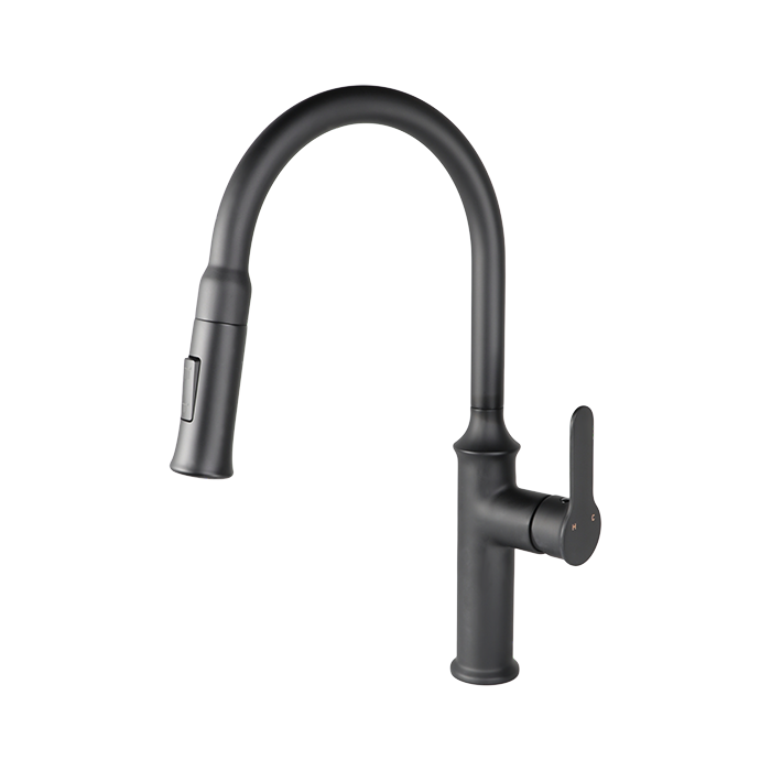 Kodaen VUITTON Pull-down Dual Spray Kitchen Faucet