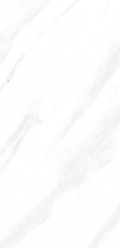 Aedea 24" x 48" Porcelain Tile Classic Series