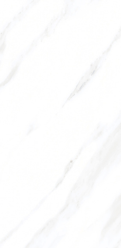 Aedea 24" x 48" Porcelain Tile Classic Series