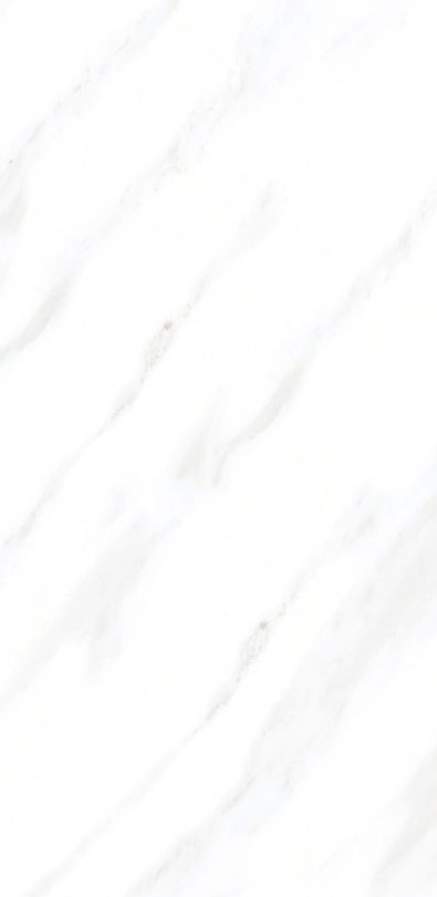 Aedea 24" x 48" Porcelain Tile Classic Series