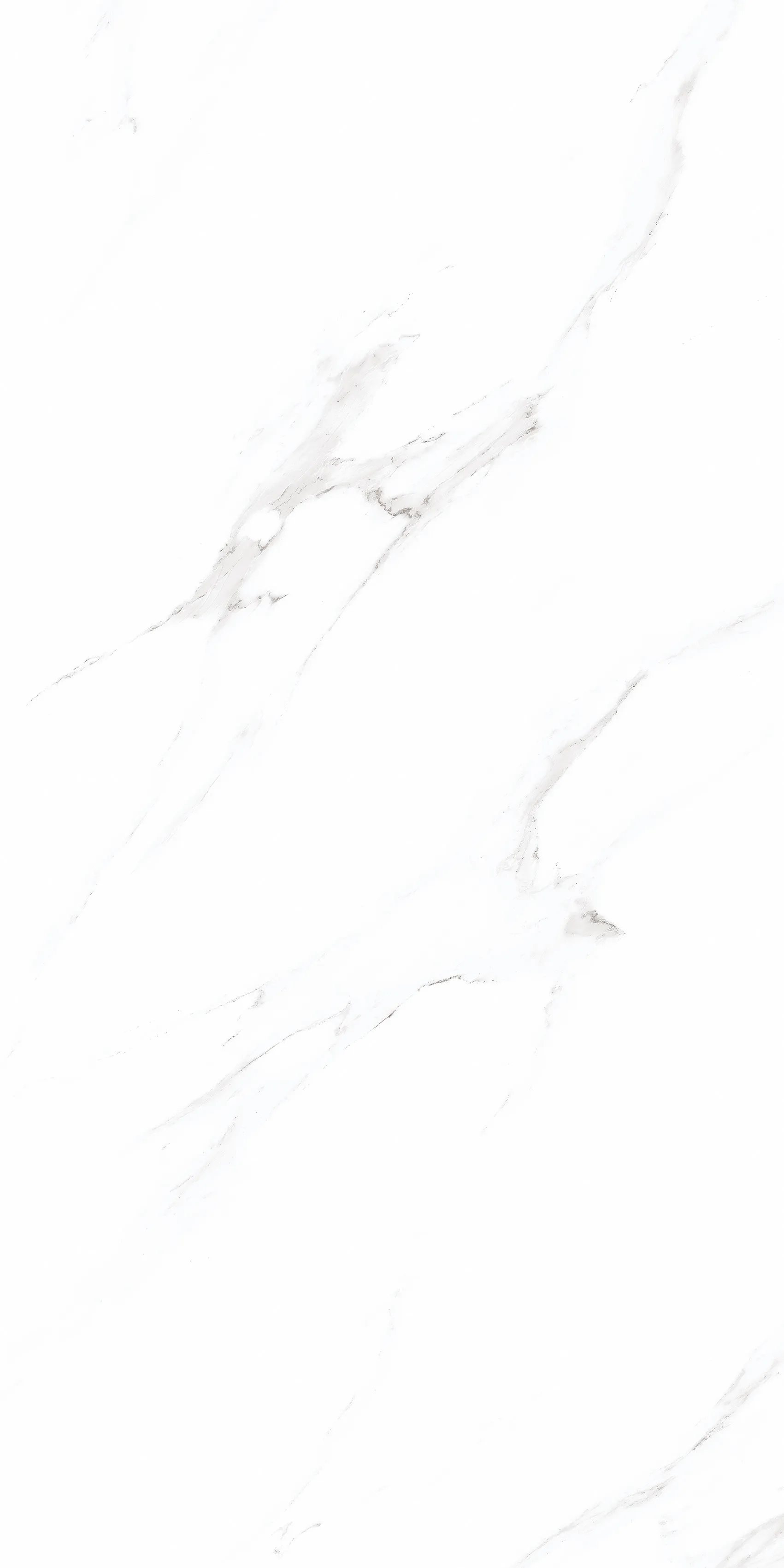 Dolcea 24" x 48" Polished Porcelain Tile