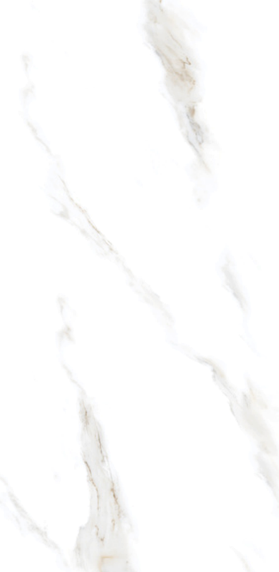 Satuario Acute 24" x 48" Porcelain Tile Classic Series