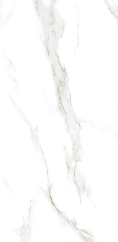 Satuario Acute 24" x 48" Porcelain Tile Classic Series