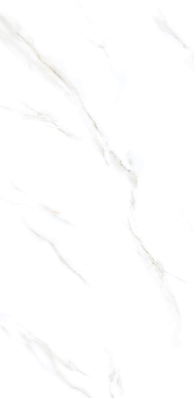 Satuario Acute 24" x 48" Porcelain Tile Classic Series
