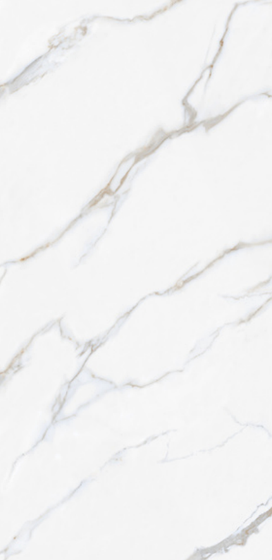 Satuario Austra 24" x 48" Porcelain Tile Classic Series