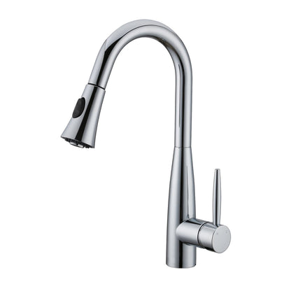 Kodaen DAVISON Pull-down Dual Spray Kitchen Faucet