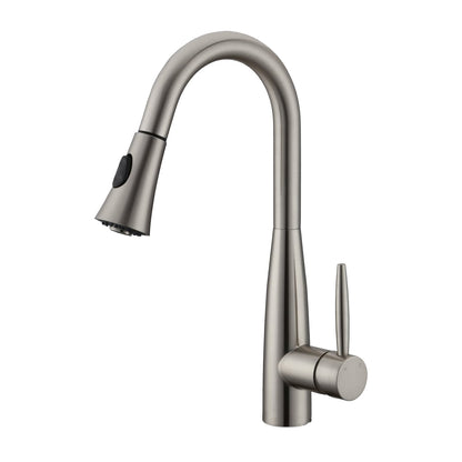 Kodaen DAVISON Pull-down Dual Spray Kitchen Faucet