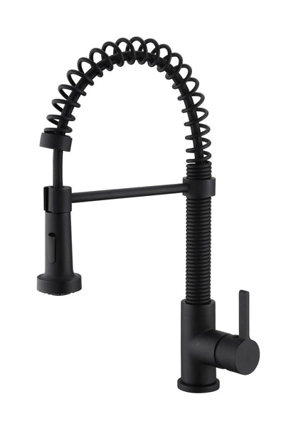 Kodaen EDISON Pull-out Dual Spray Kitchen Faucet