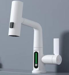 Kodaen Pull-Out Bathroom Faucet with Temperature Display
