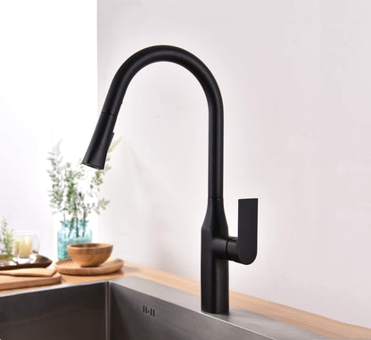 Kodaen TIMELYSS Pull-down Dual Spray Kitchen Faucet